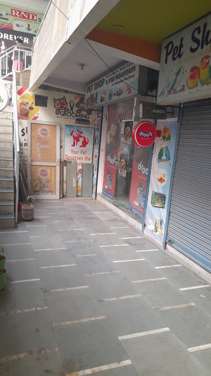 Pet Shop - Photo 2