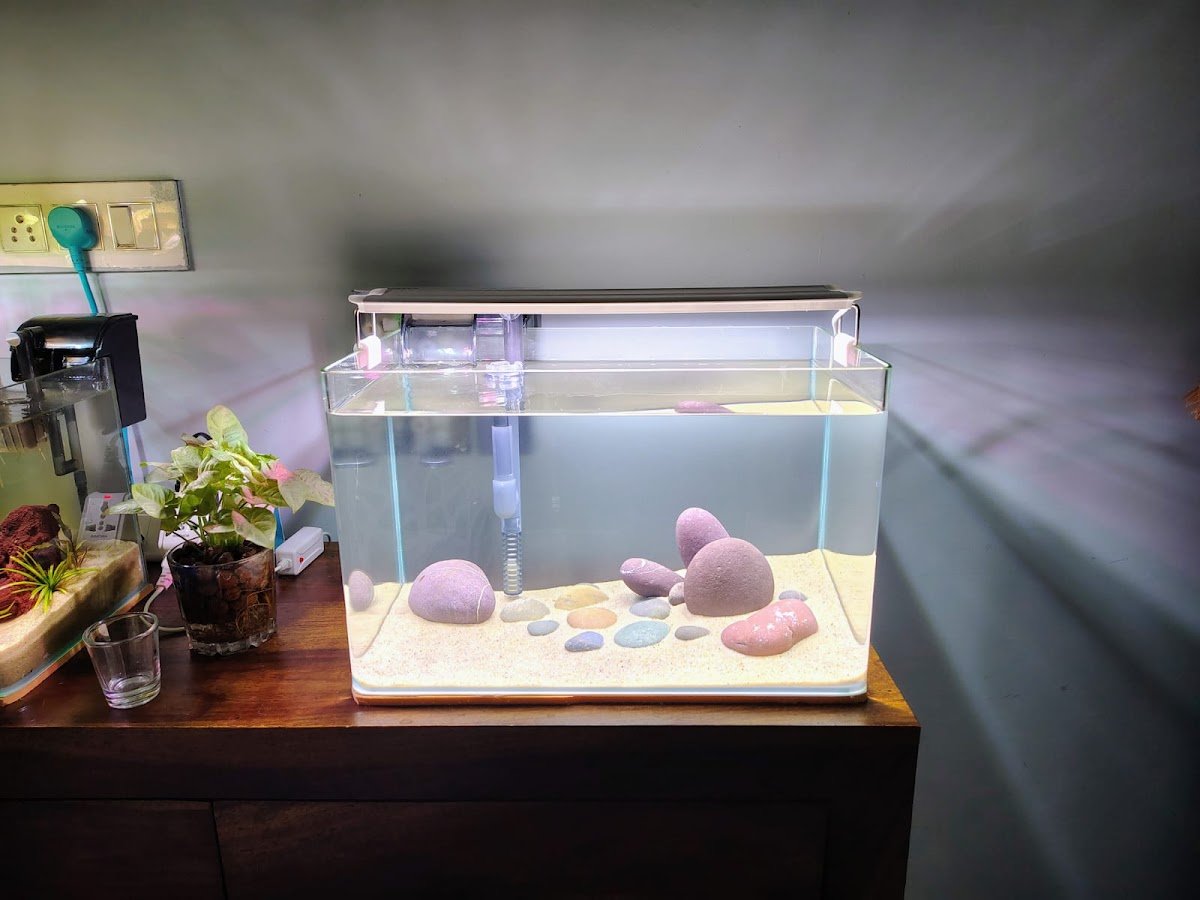 Ansh Aquatics - Photo 2
