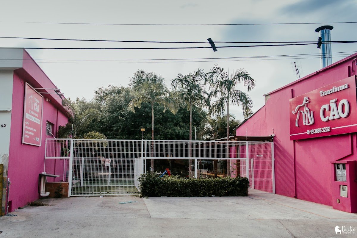 TransformaCão Pet Boutique