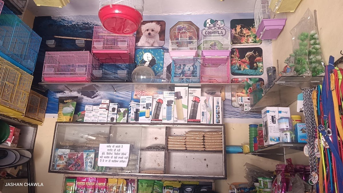 Chawla Pet Store & Fish Aquariums - Photo 2