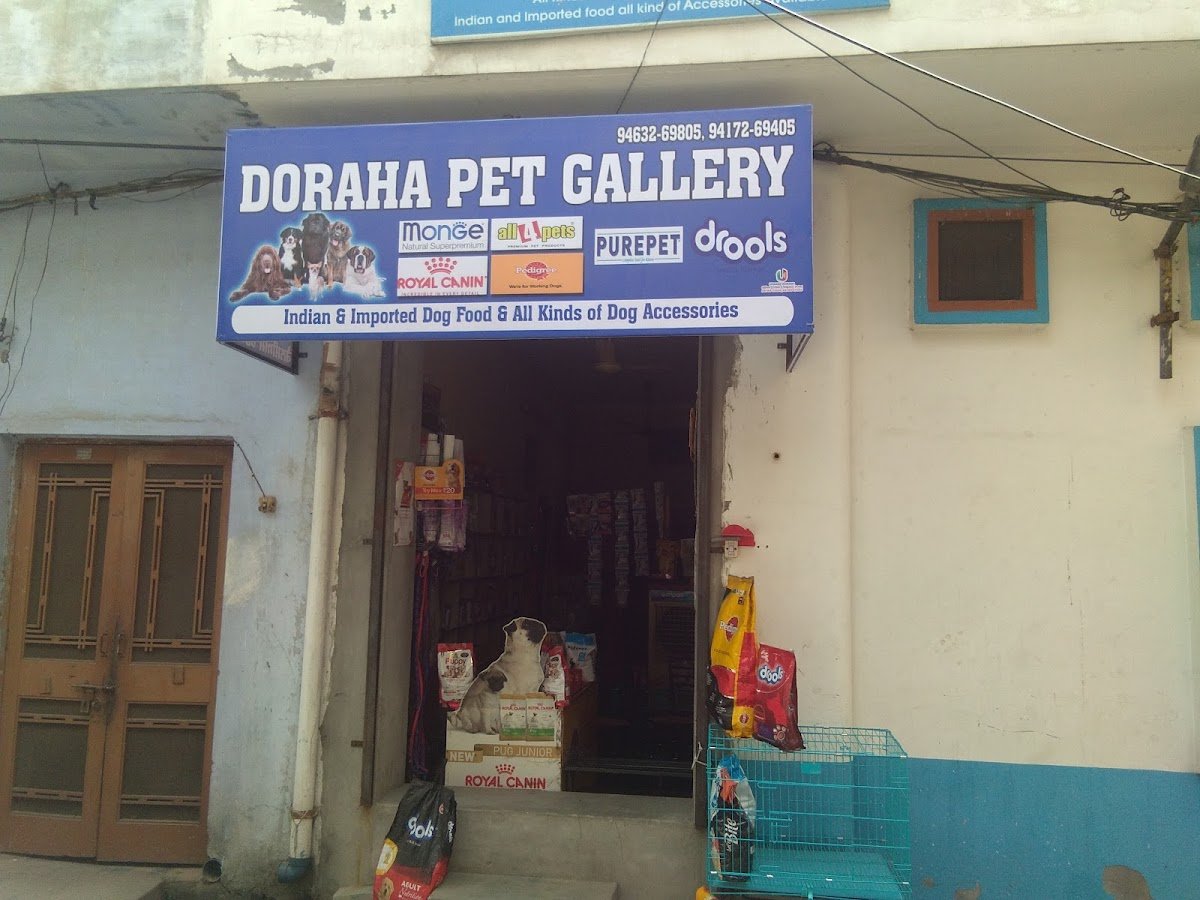 DORAHA PET GALLERY(2007) - Photo 2