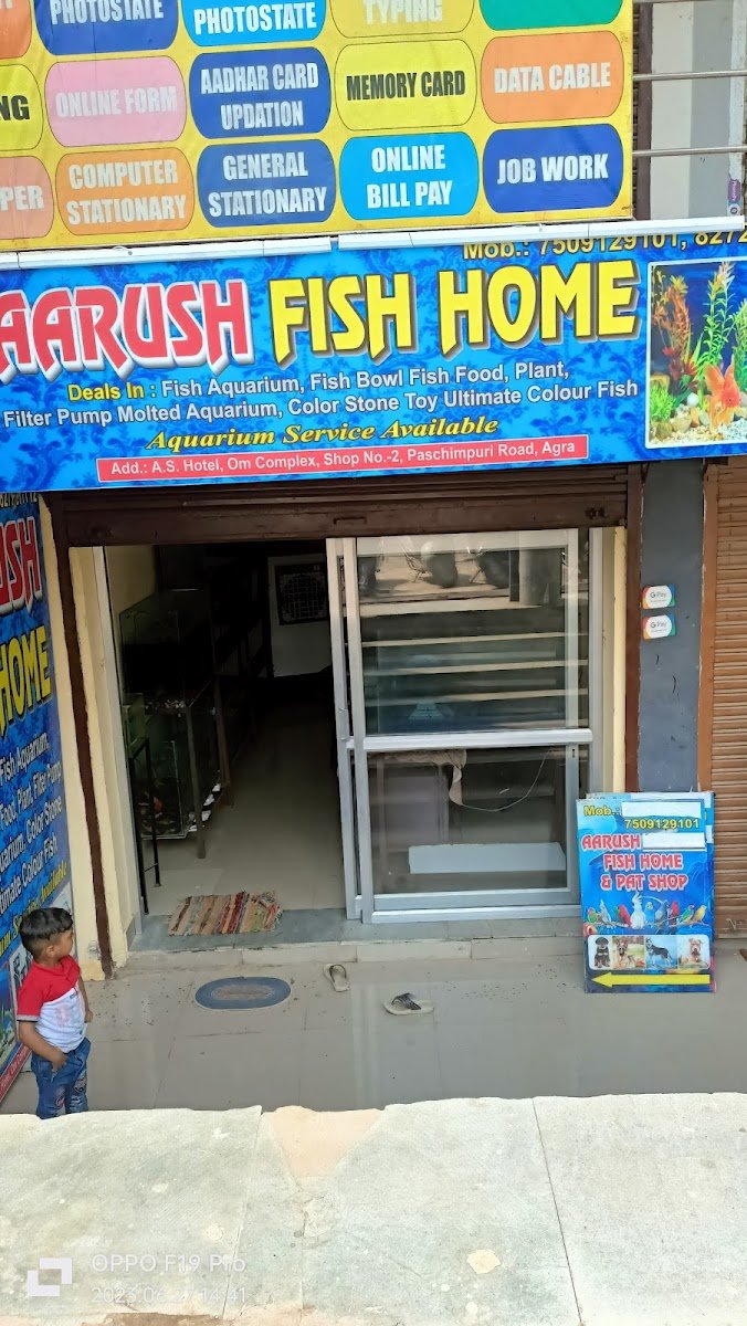 Aarush Fish Home - Photo 2
