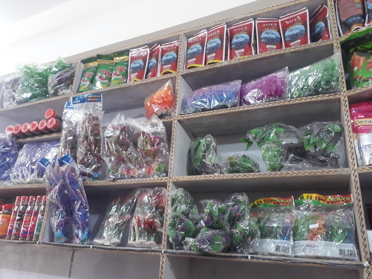 Parmar fish aquarium - Photo 2