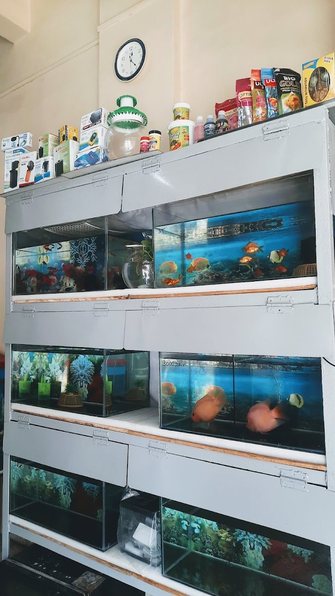 Shree Aquariums - Photo 2