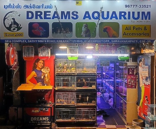 DREAMS AQUARIUM - Photo 2