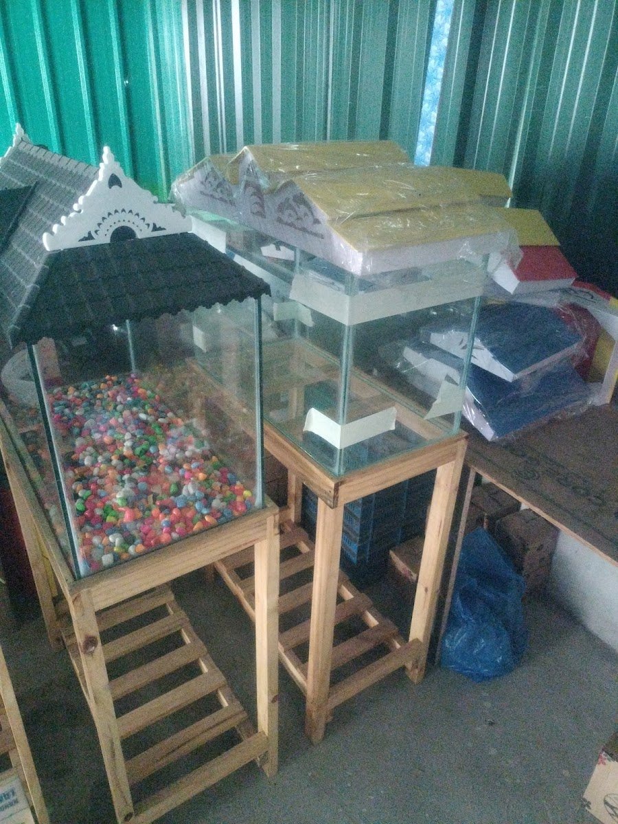 A Square Aquatics - Photo 2