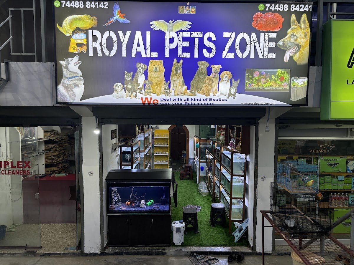 Royal PetsZone - Photo 2