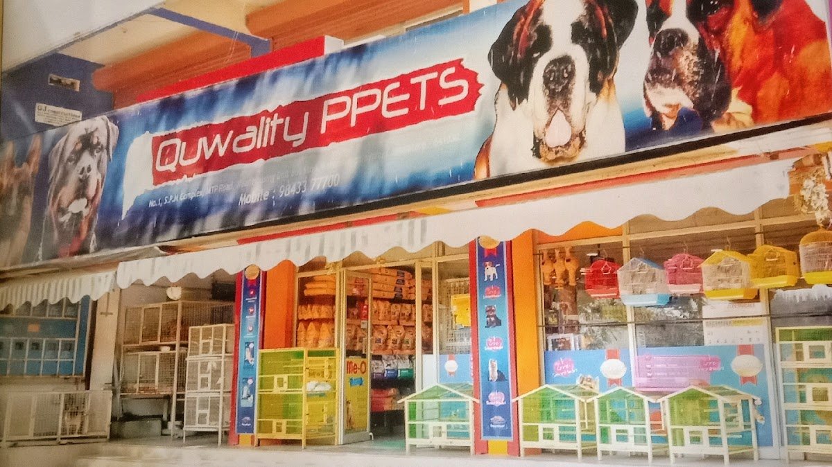 Quwality Pets - Photo 2