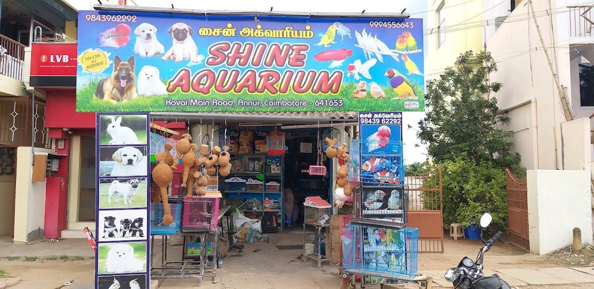 SHINE AQUARIUM - Photo 2