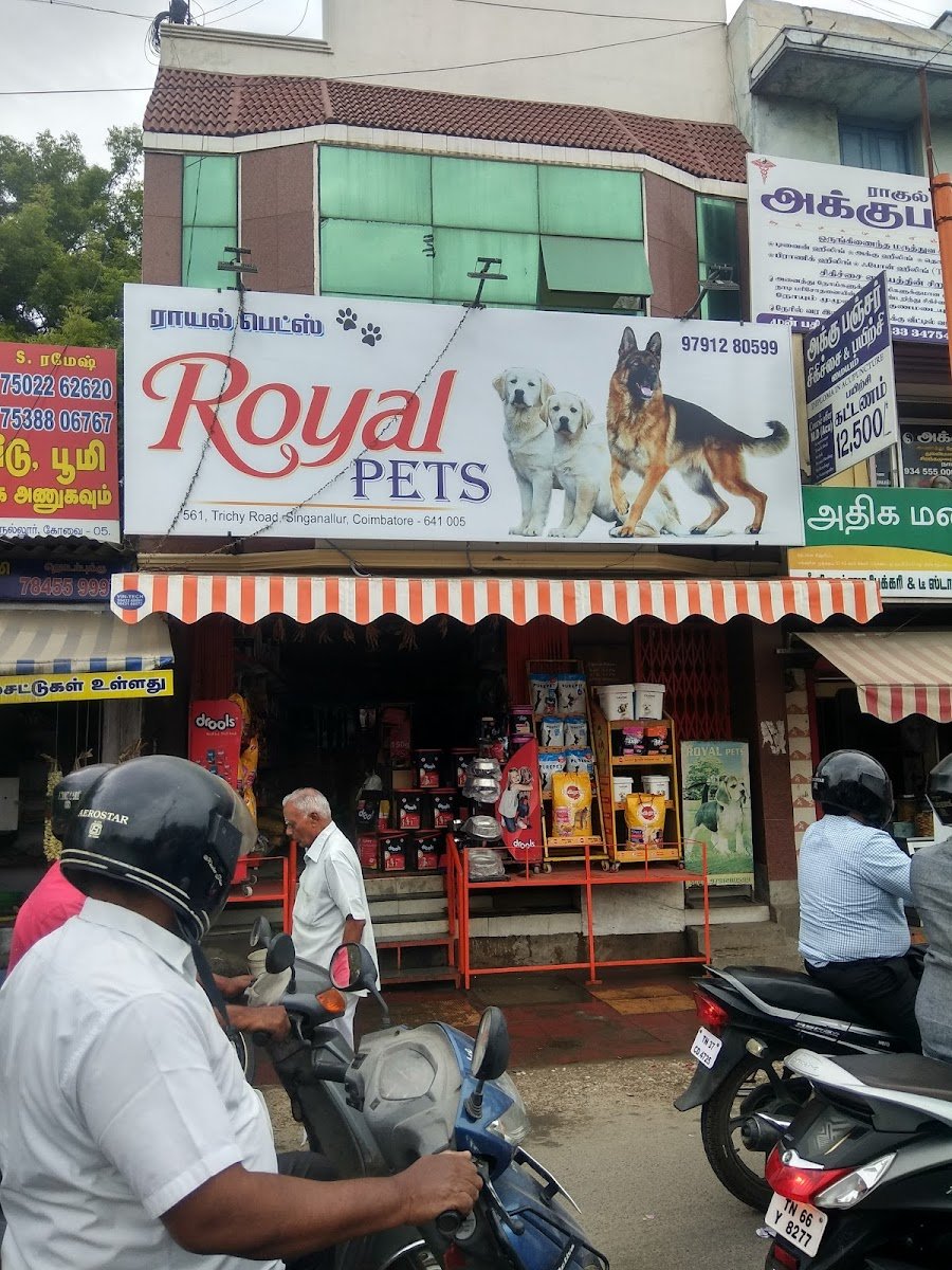 Royal Pets - Photo 2