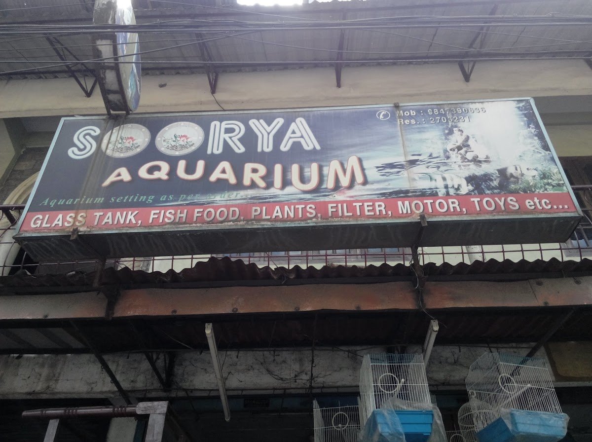 Soorya Aquarium - Photo 2