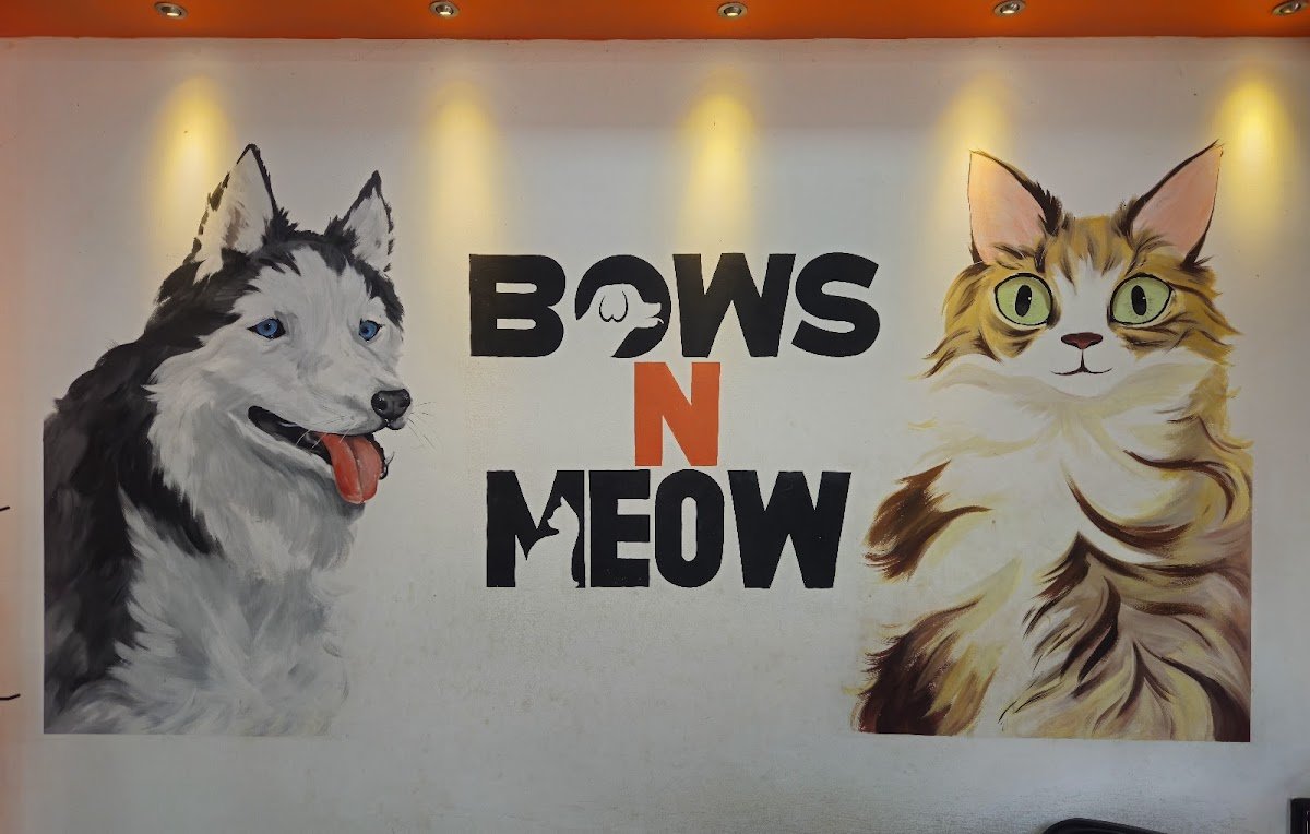 Bows N Meow - Photo 2