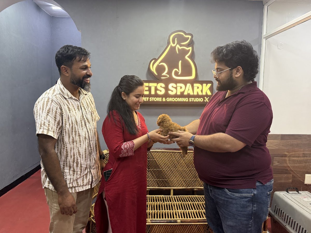Pets Spark - Photo 2