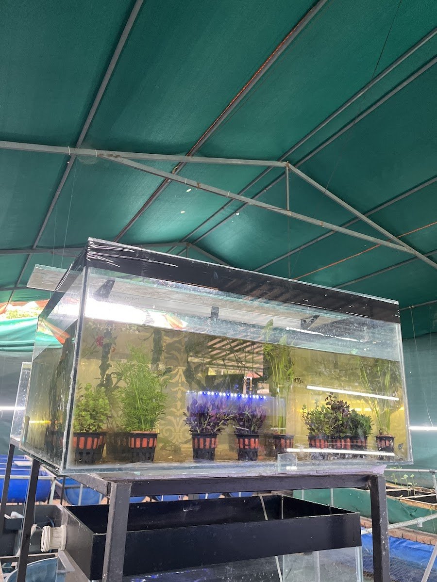 Ar aqua garage, - Photo 2