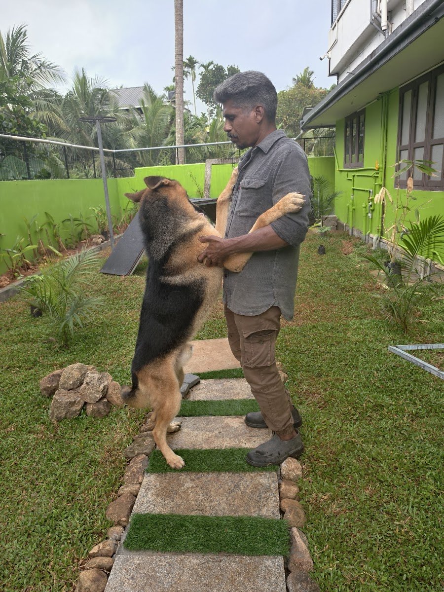 PETSANTO BOARDING CENTRE - Photo 2