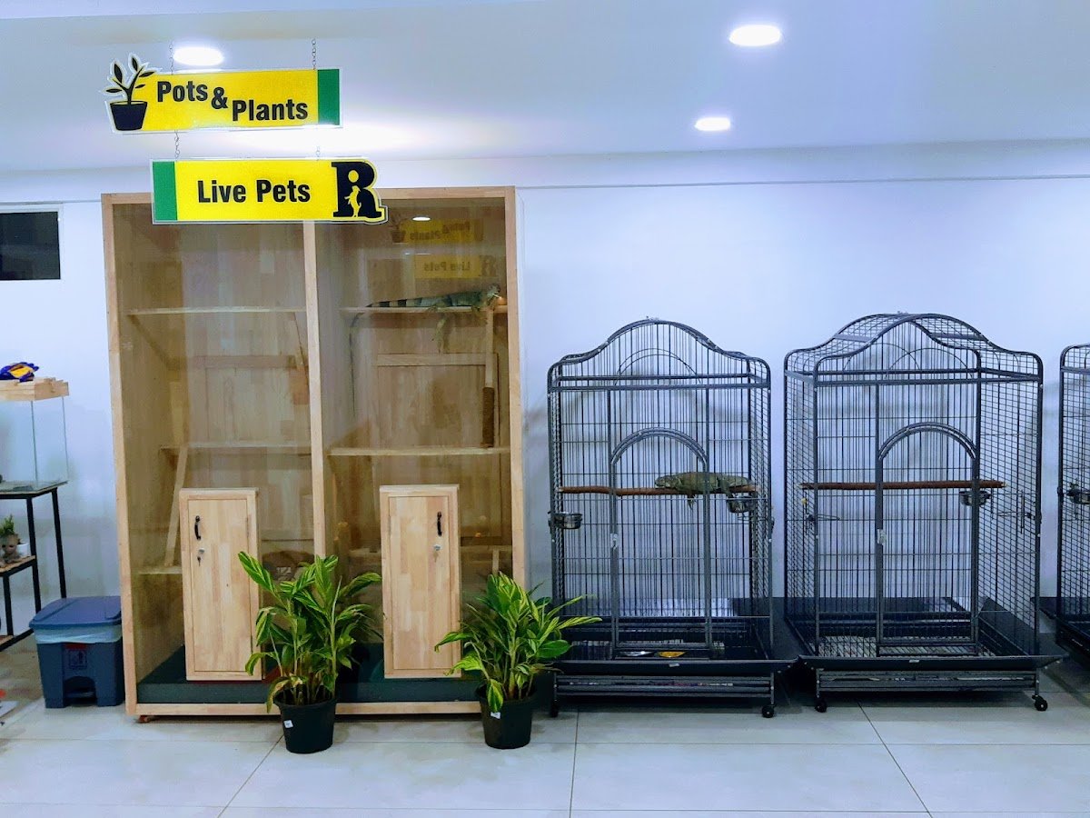 Rainforest Pets & Plants - Photo 2