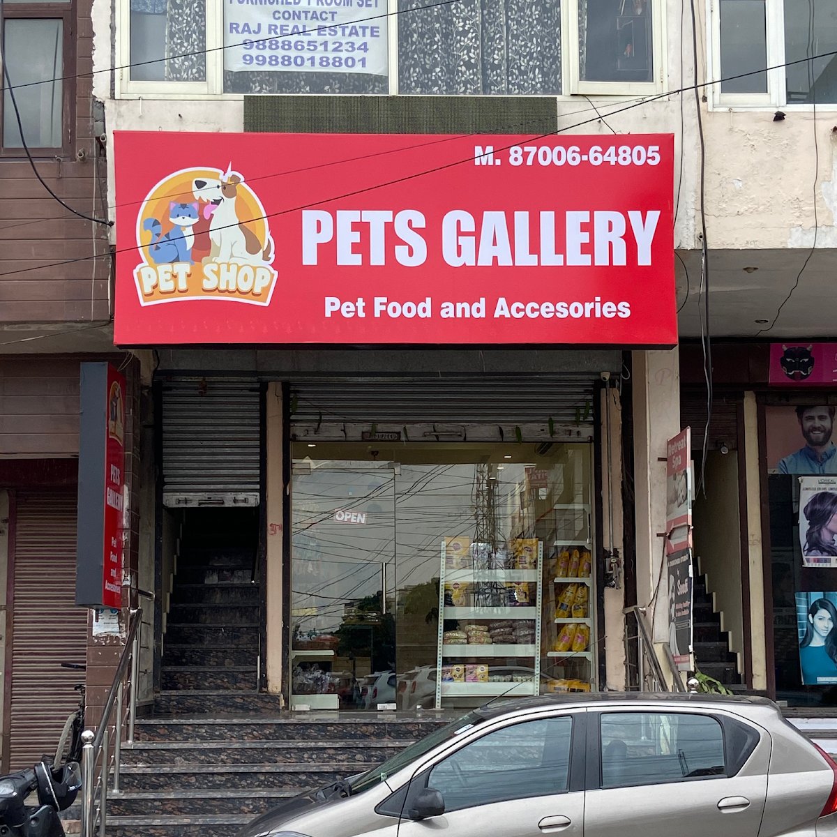 Pets Gallery - Photo 2
