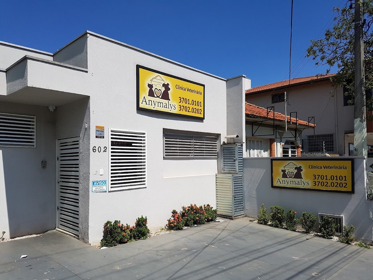 AYVET clínica veterinária