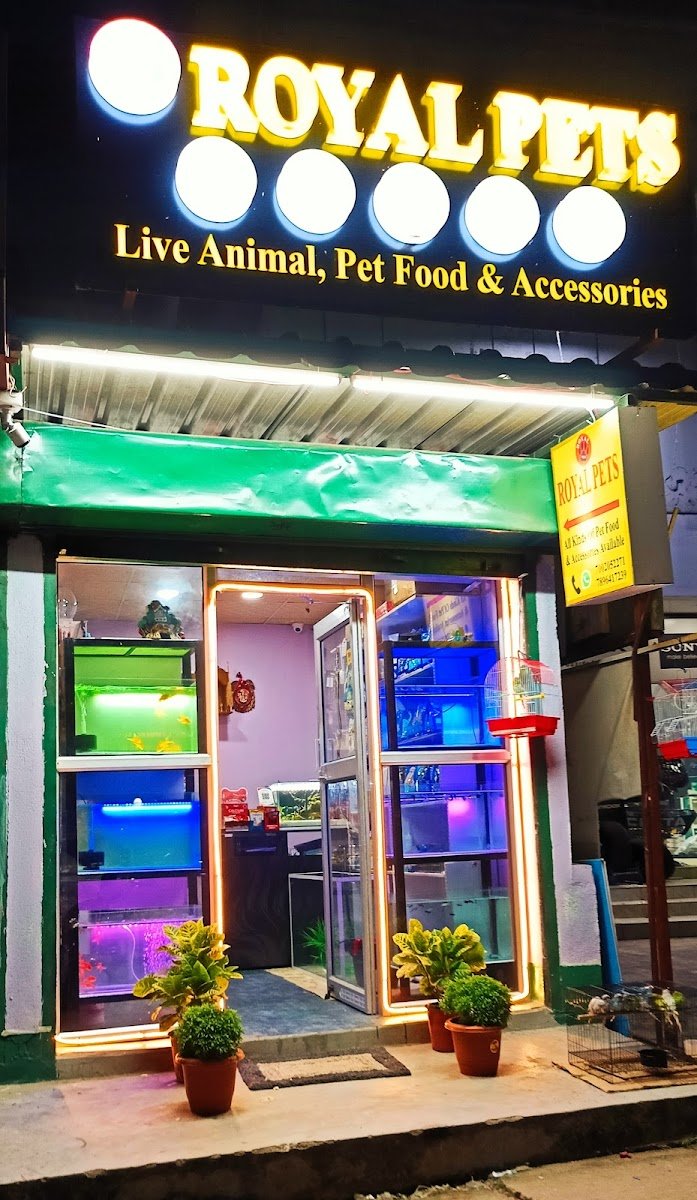 ROYAL PETS - Photo 2