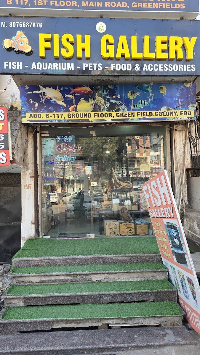Fish Gallery - Photo 2