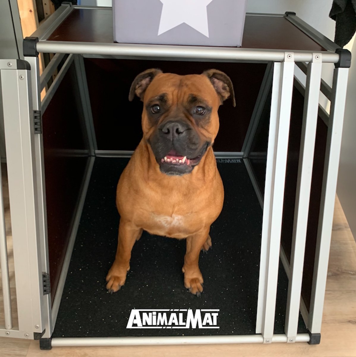 HundeMatte - Foto 2