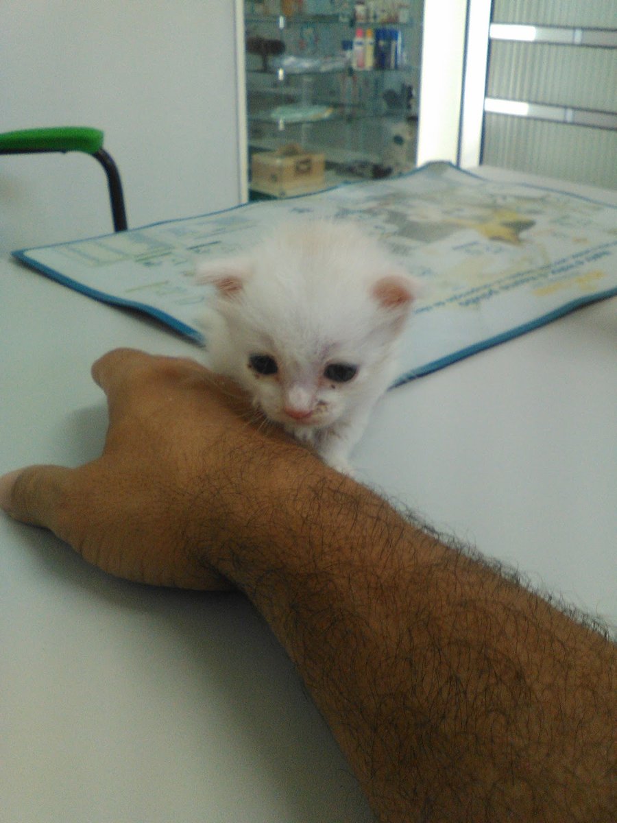 Medcão Clínica Veterinária - Pet Shop em Vinhedo