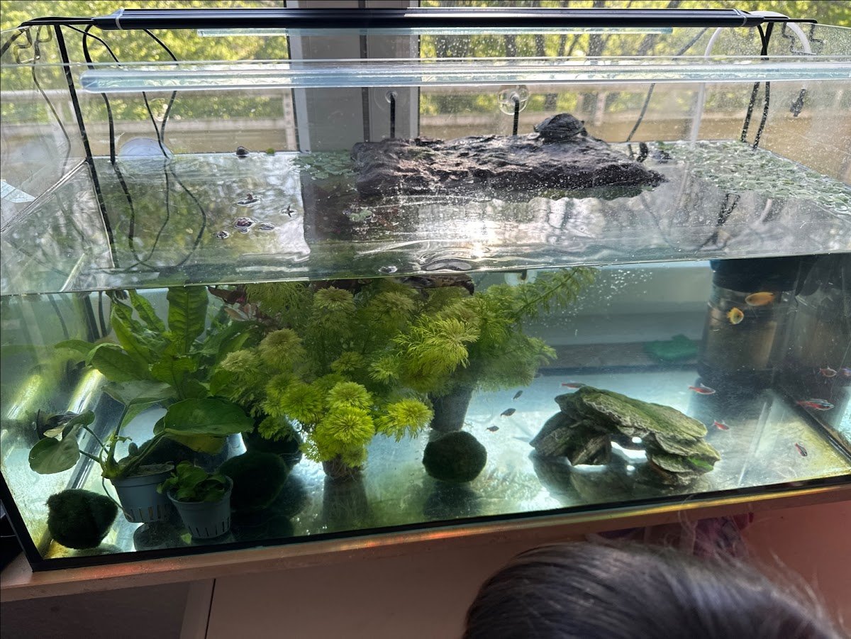 Zoo Poller - Foto 2