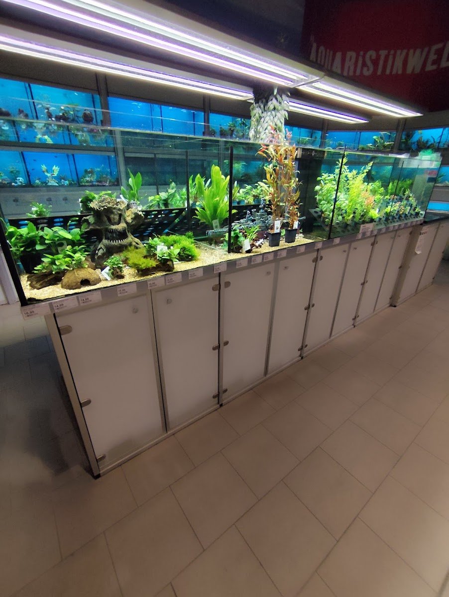 AQUARISTIKWELT - Foto 2
