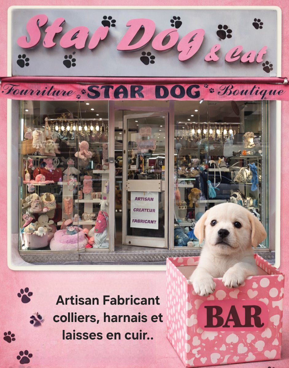 STAR DOG & CAT - Photo 2