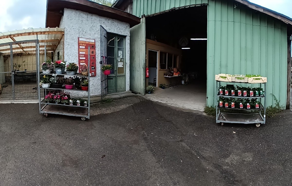 Sarl casse graines graineterie de Louens - Photo 2