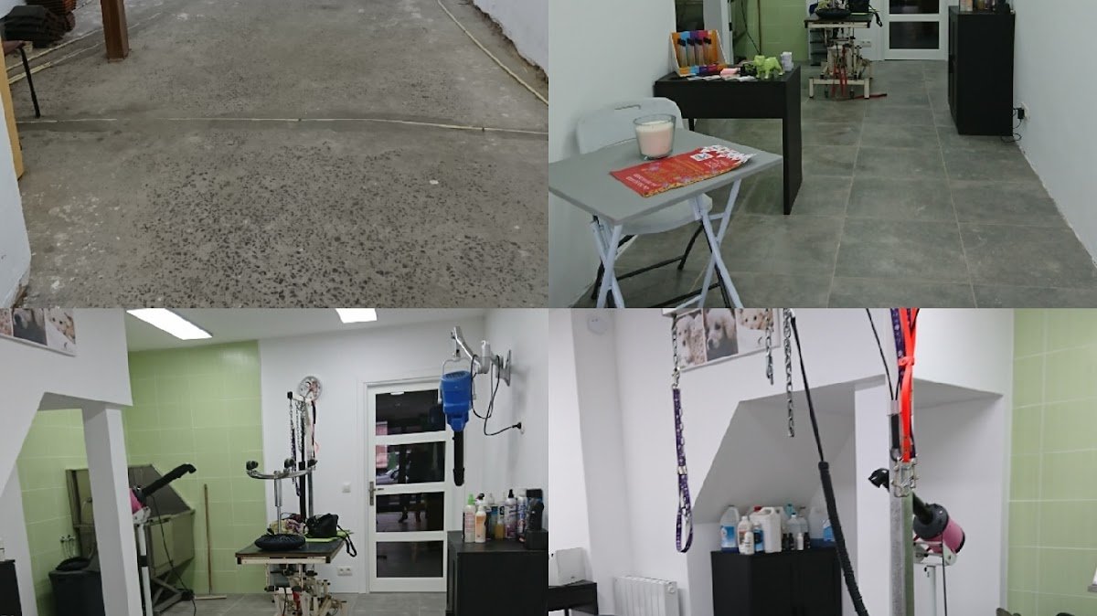 Le chien vert le bizet