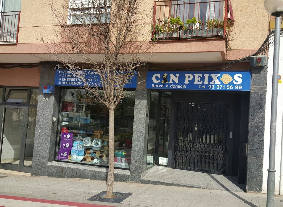 Can Peixos - Foto 2