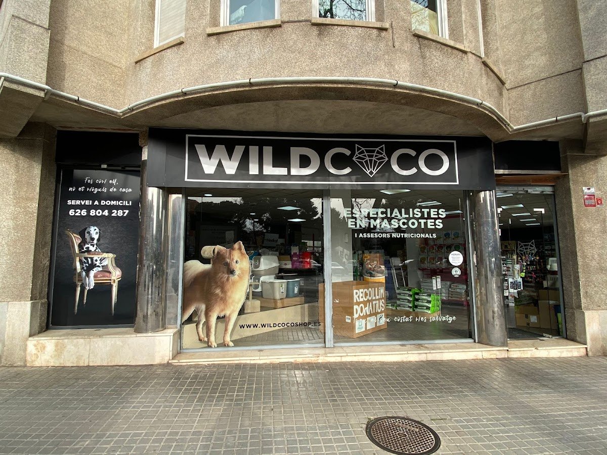 WILDCOCO MASCOTES SABADELL - Foto 2