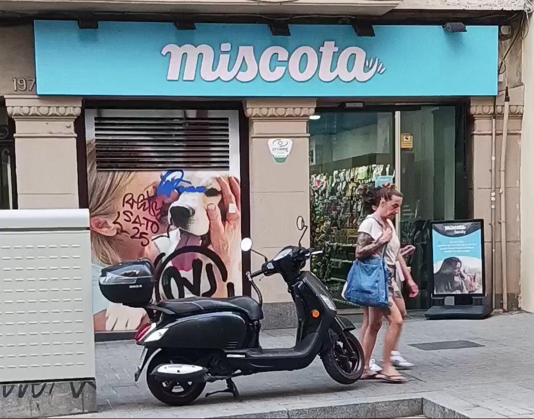 Miscota - Foto 2