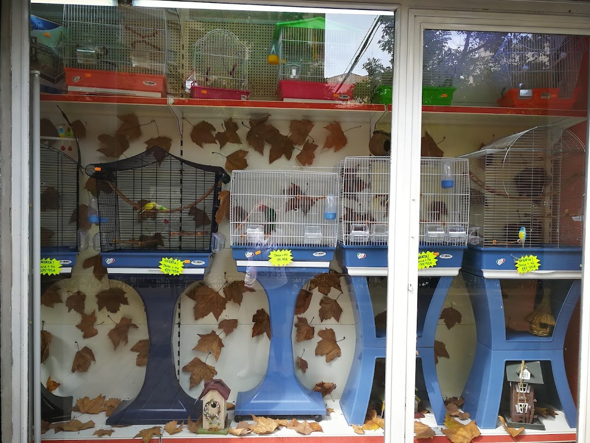 Fauna Viva - Foto 2