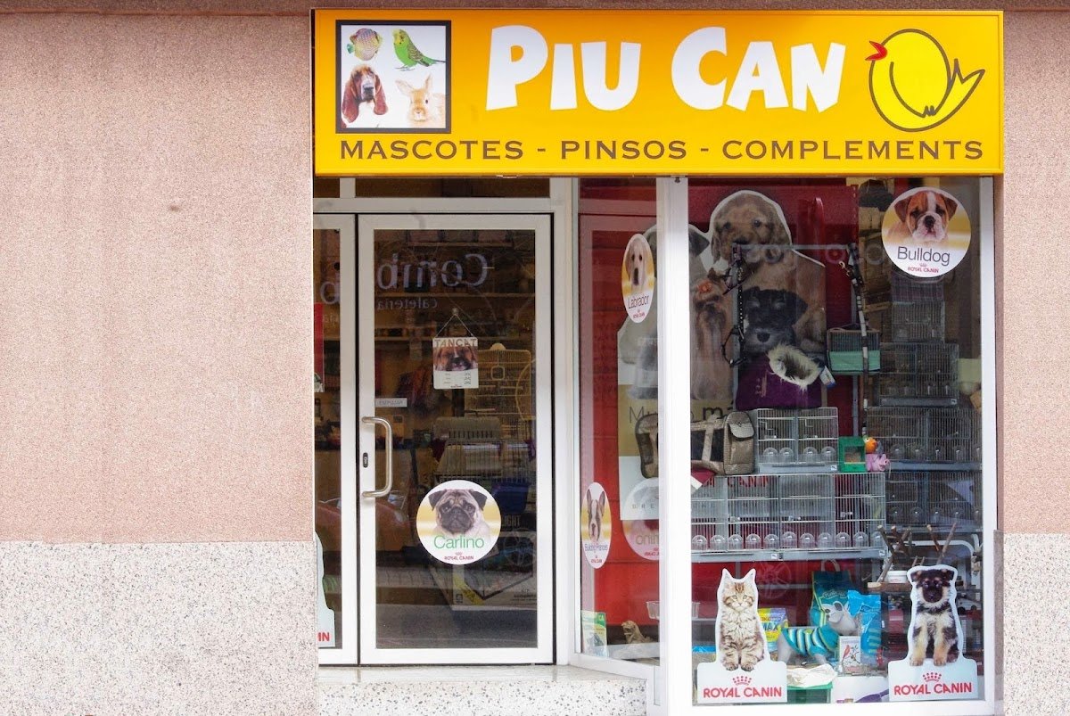 Piu Can - Foto 2