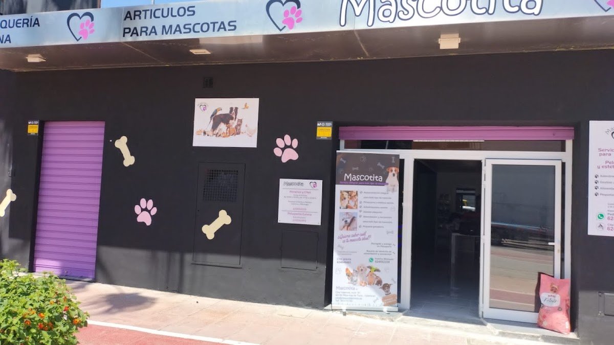 Peluquería canina y felina en Ribarroja del Turia Mascotita S.C. - Foto 2