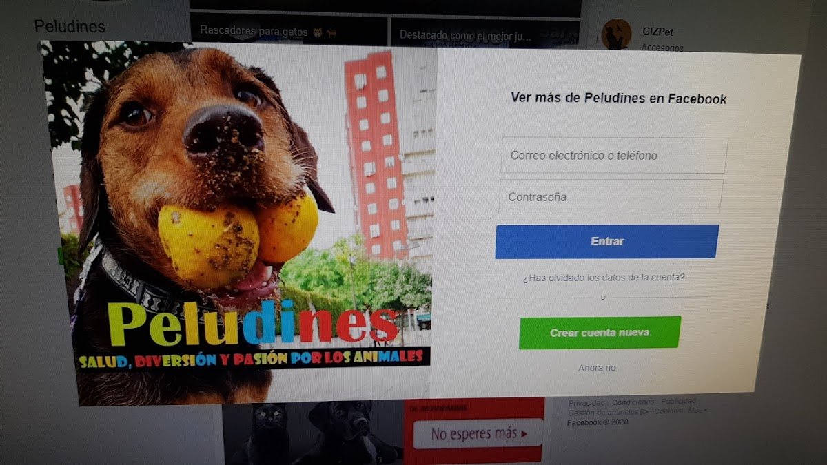 PELUDINES - Foto 2