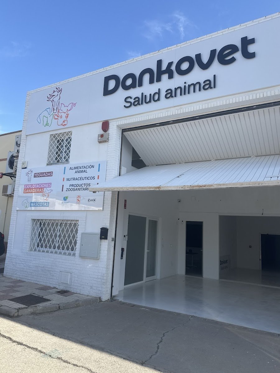 Dankovet - Foto 2