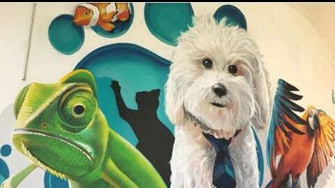 El rincón de Rufo - Foto 2