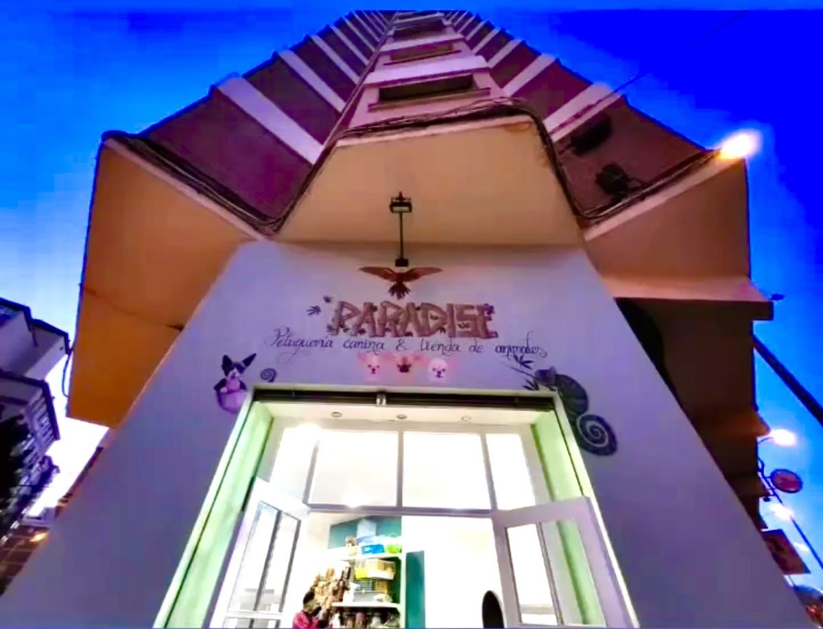 Paradise - Foto 2