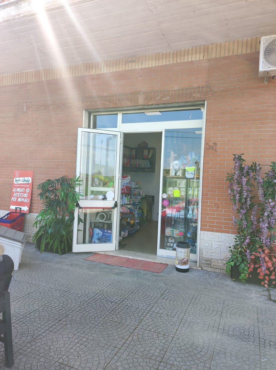 CDL Petshop - Foto 2