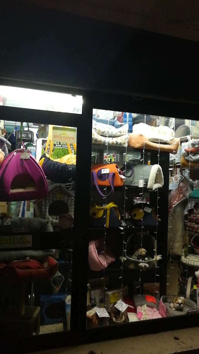 Barbieri Anna - Foto 2
