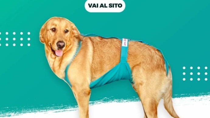 Medipet Store - Foto 2
