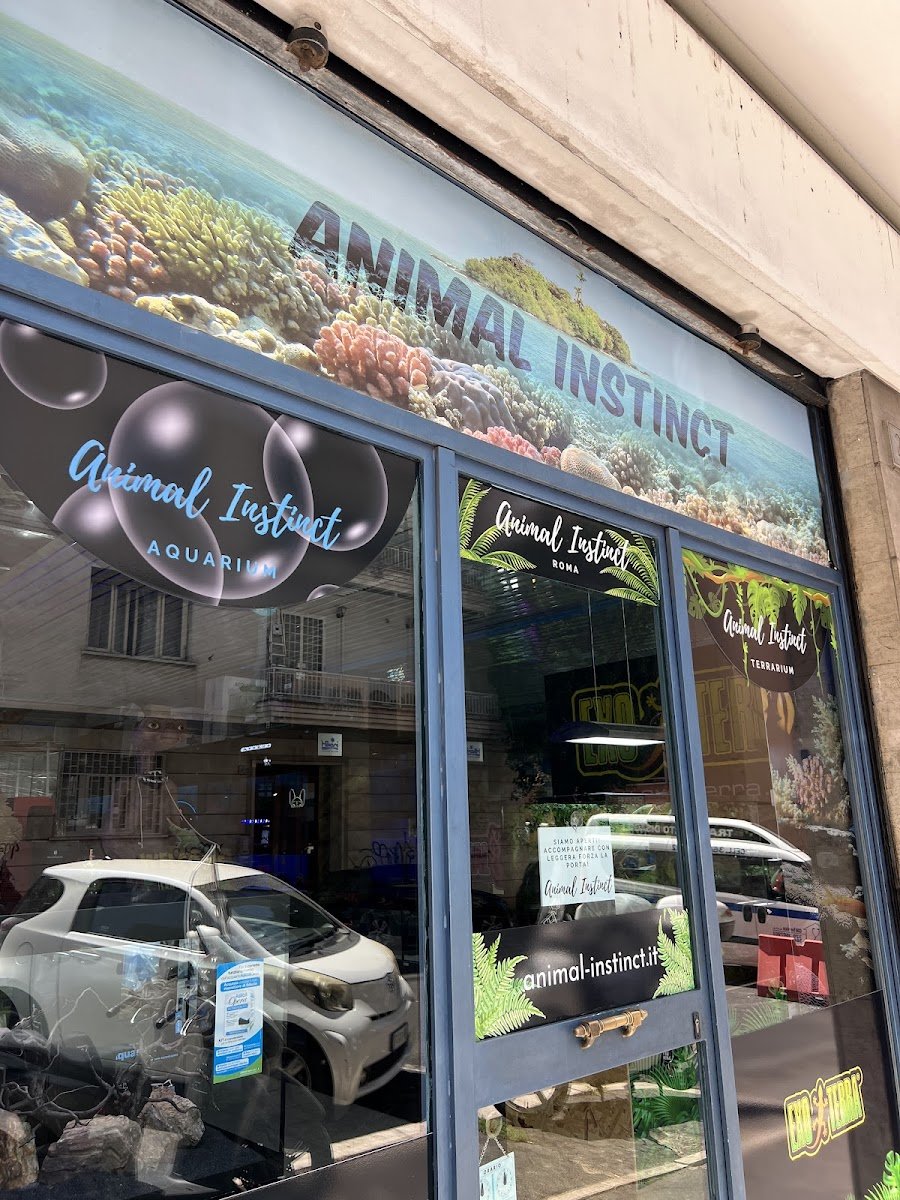 Animal Instinct - Foto 2