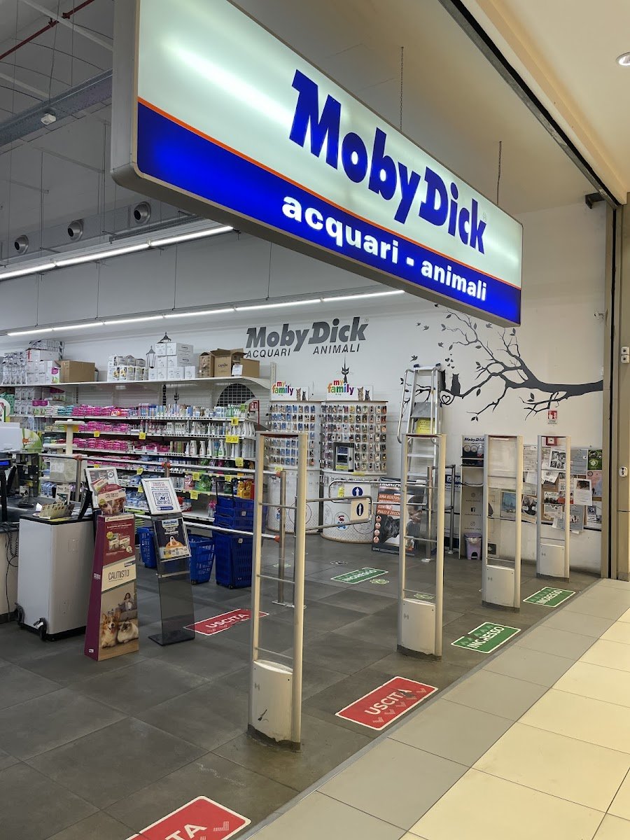 Moby Dick - Foto 2