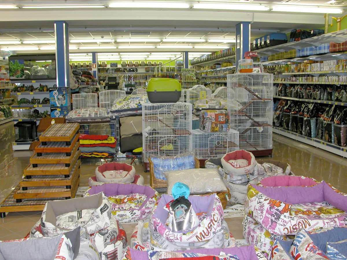 Pets Discount Roma - Foto 2
