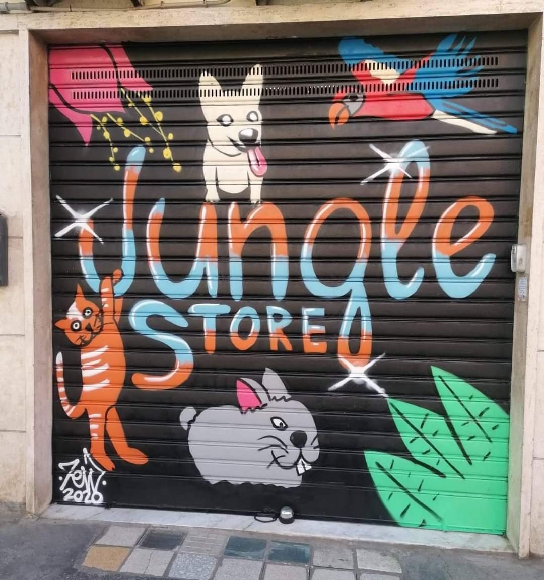 Jungle Store Balduina Apuleio - Foto 2