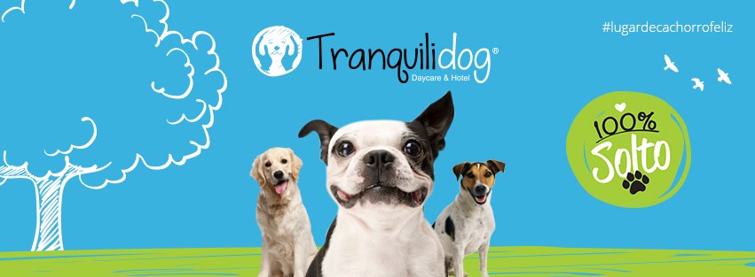 Tranquilidog Hotel & Daycare