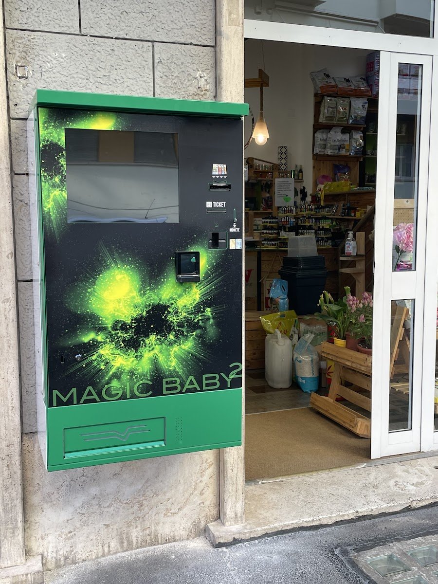 Non Solo Canapa - Foto 2